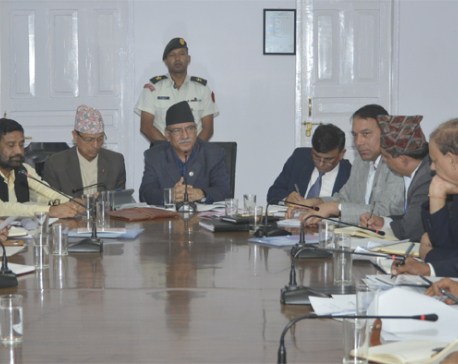 PM Dahal directs NRA CEO for result-oriented performance